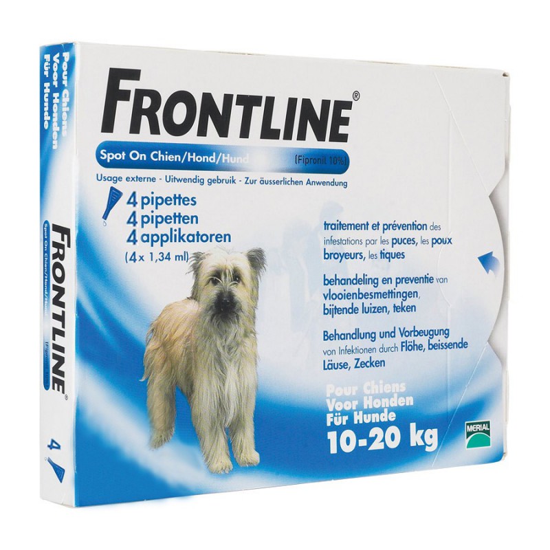 frontline chien